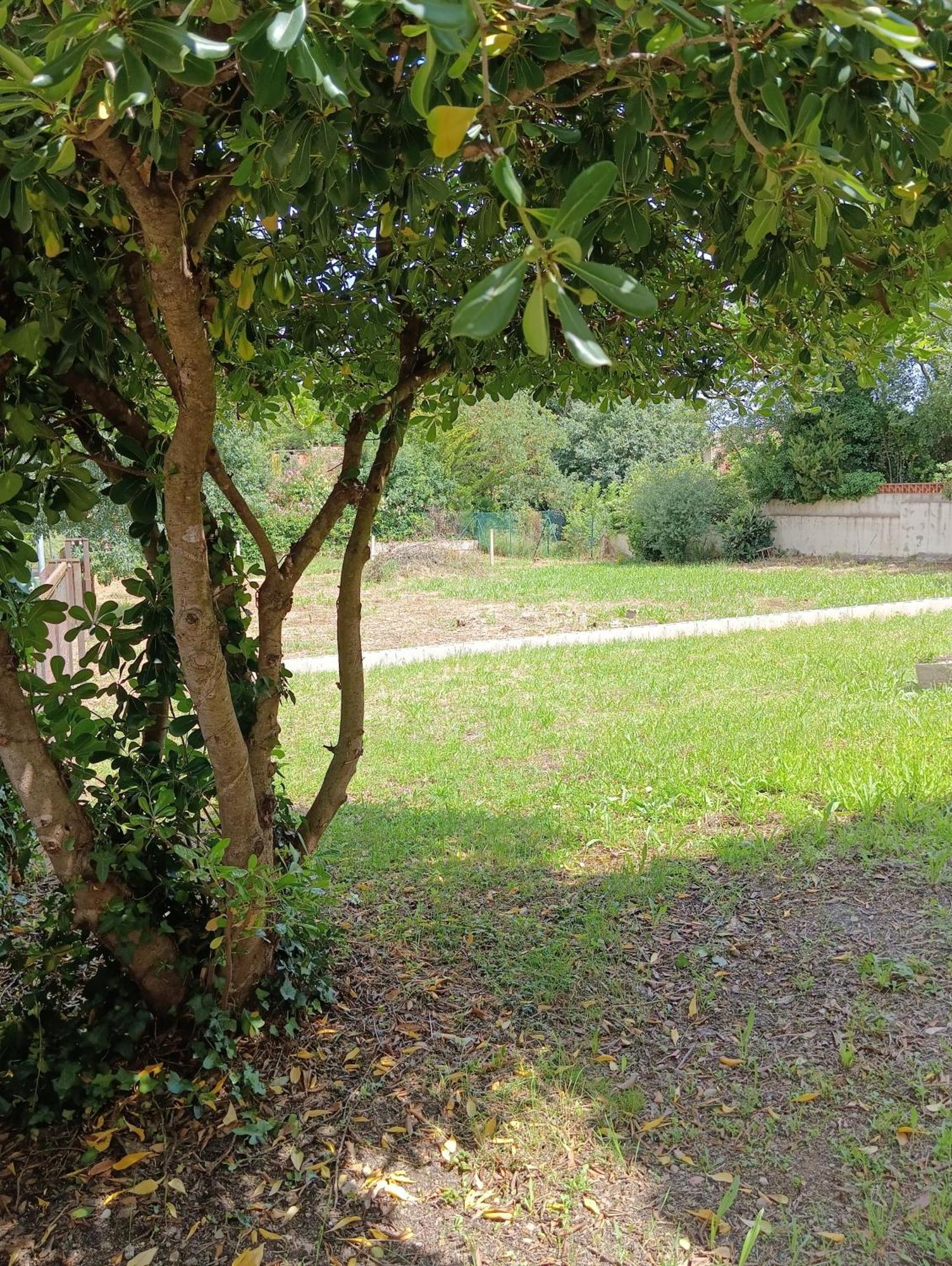 Casa Amb Gran Jardi A Vilauer-Costa Brava - Alt Emporda Vilaur Εξωτερικό φωτογραφία