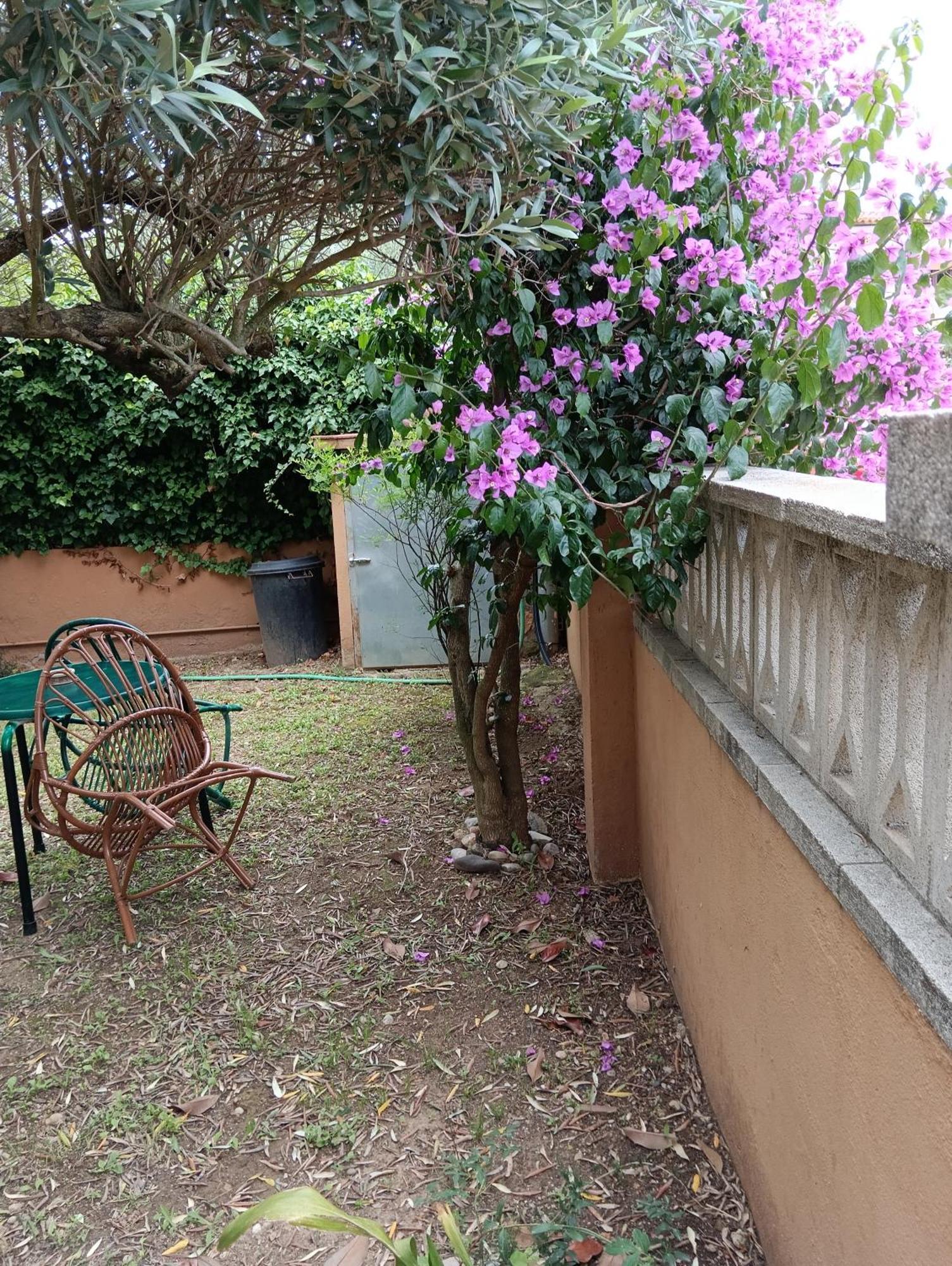 Casa Amb Gran Jardi A Vilauer-Costa Brava - Alt Emporda Vilaur Εξωτερικό φωτογραφία
