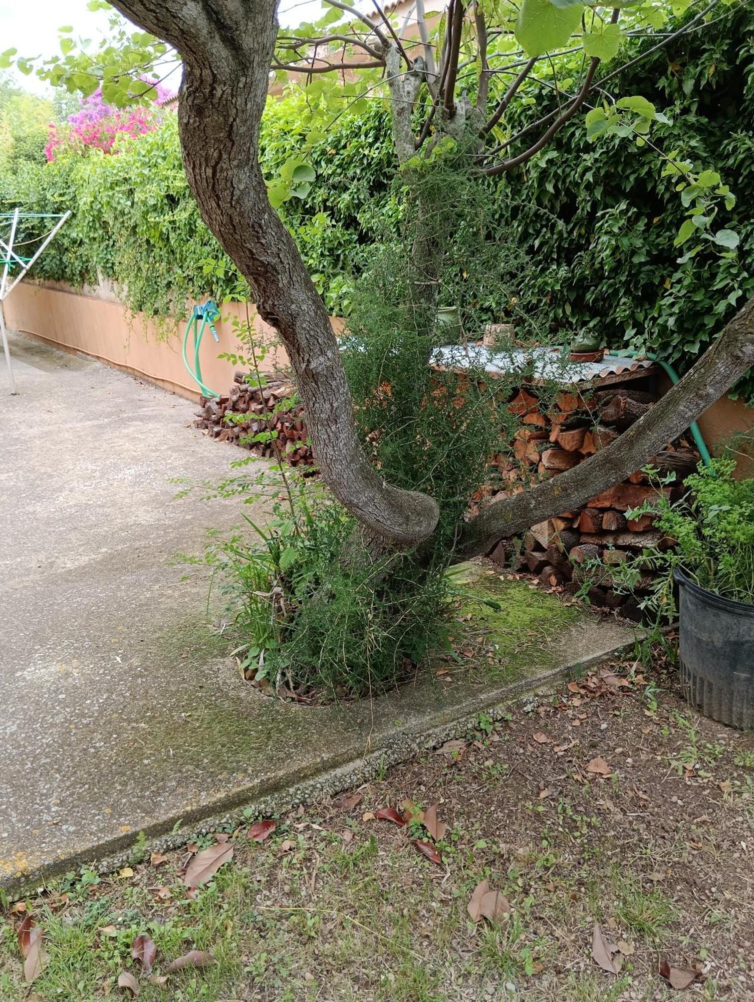 Casa Amb Gran Jardi A Vilauer-Costa Brava - Alt Emporda Vilaur Εξωτερικό φωτογραφία
